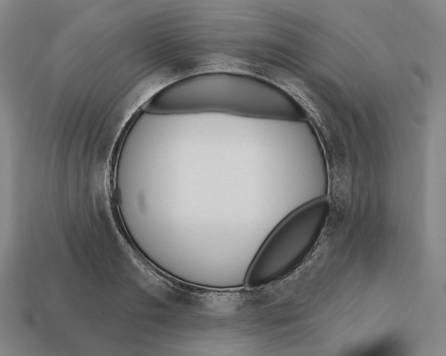 X0000112540893200909281057