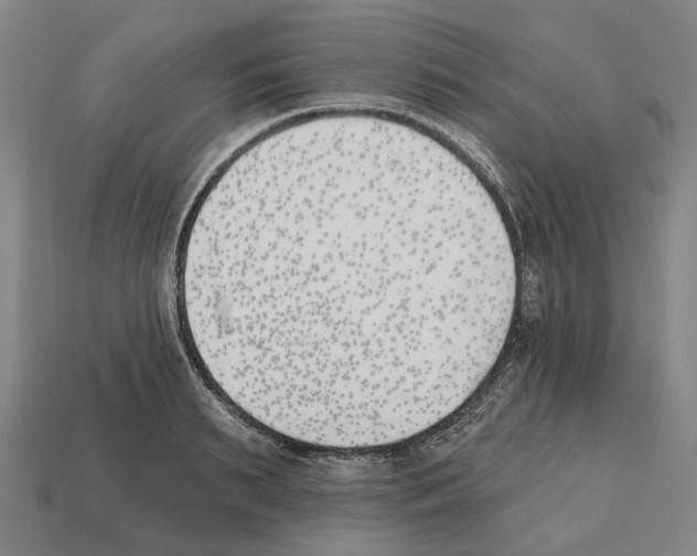 X0000112540895200909281057