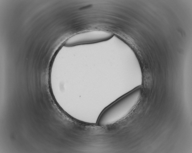 X0000112540896200909281057