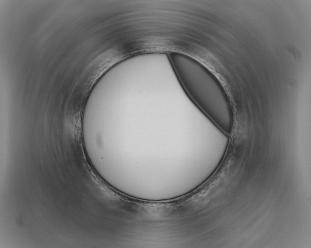 X0000112540897200909281057