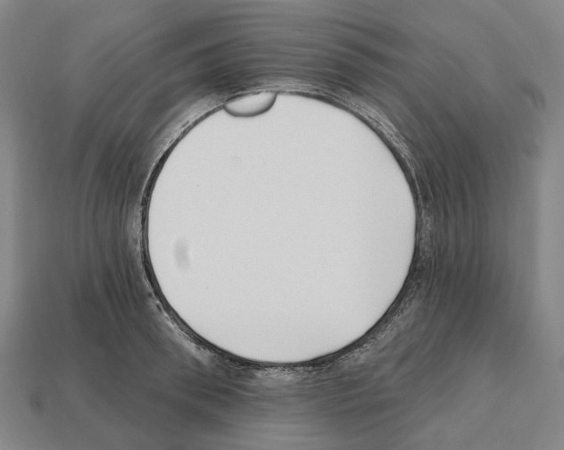 X0000112540898200909281057