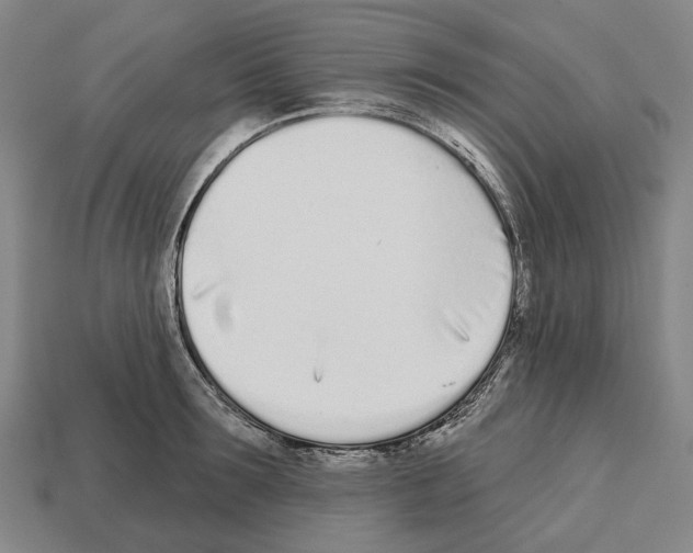 X0000112540899200909281057