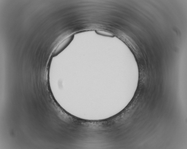 X0000112540900200909281057