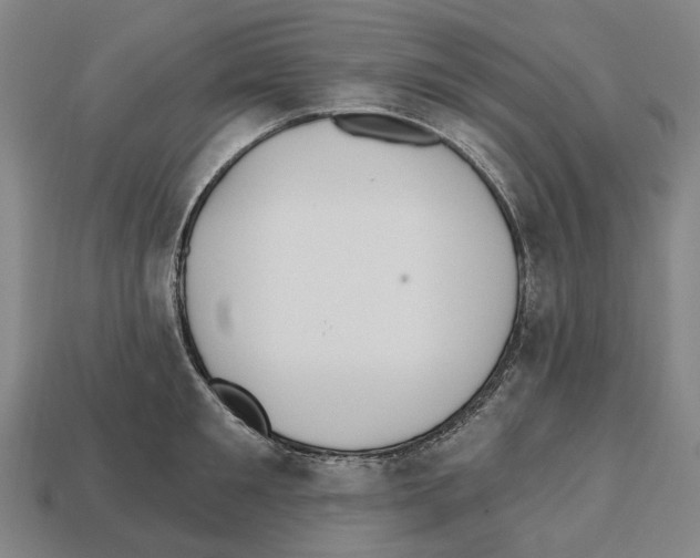 X0000112540901200909281057