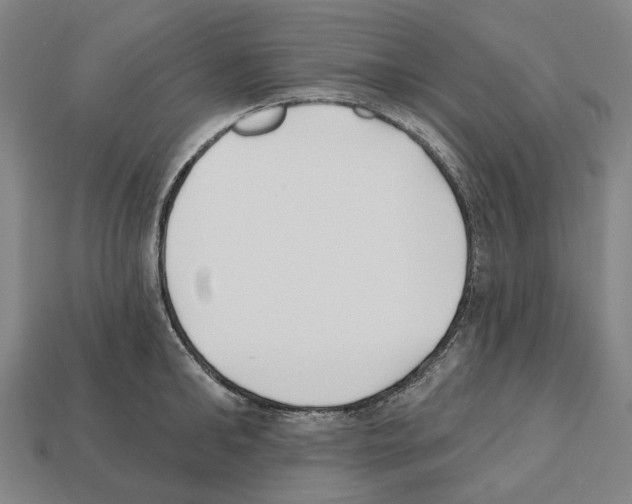 X0000112540902200909281057