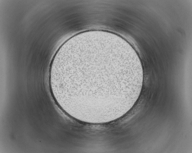 X0000112540903200909281057