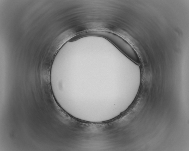 X0000112540905200909281056