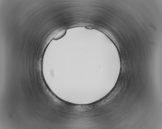 X0000112540906200909281056
