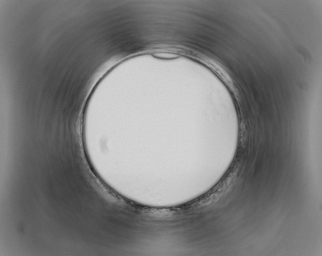 X0000112540907200909281056