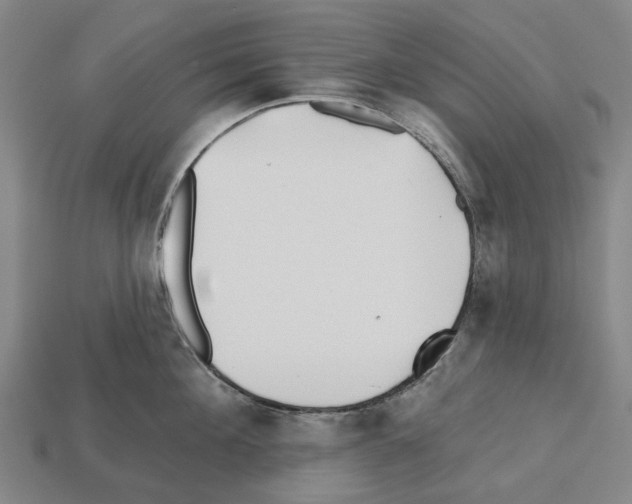 X0000112540908200909281056