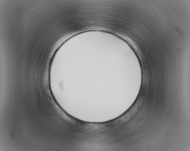 X0000112540910200909281056