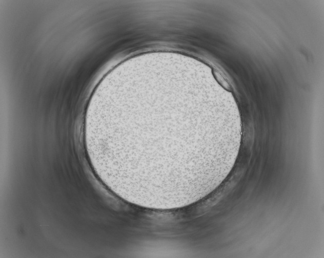 X0000112540911200909281056