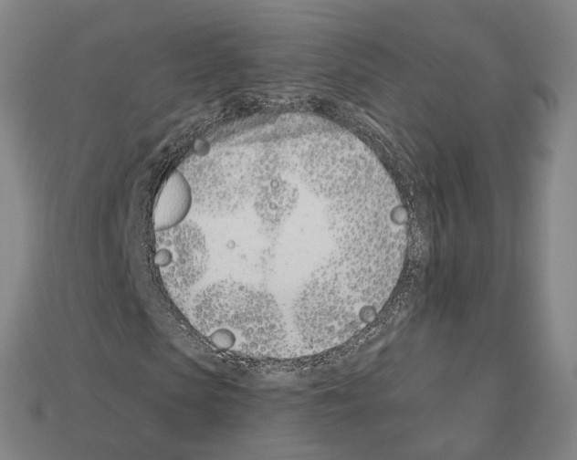 X0000112540913200909281056