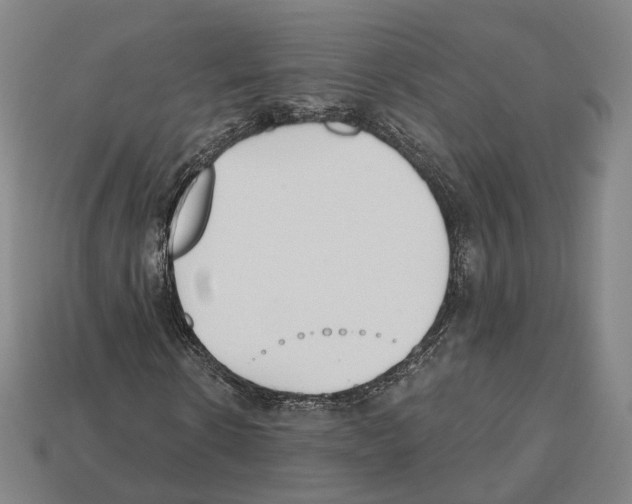X0000112540914200909281056