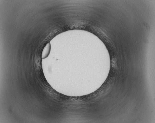 X0000112540915200909281056