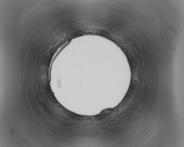 X0000112540916200909281056