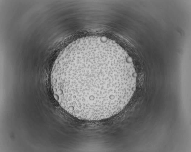X0000112540917200909281056