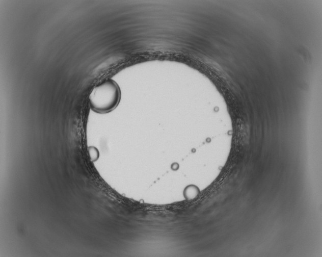 X0000112540918200909281056