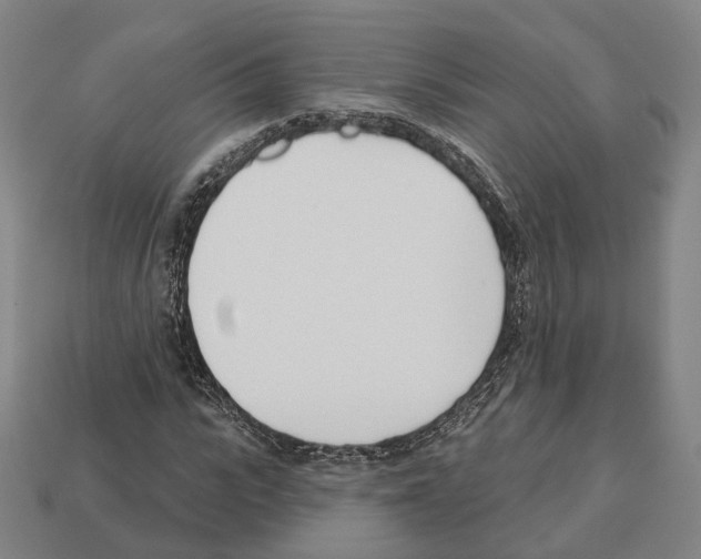 X0000112540919200909281056