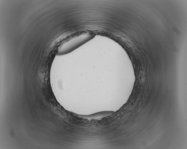 X0000112540920200909281056