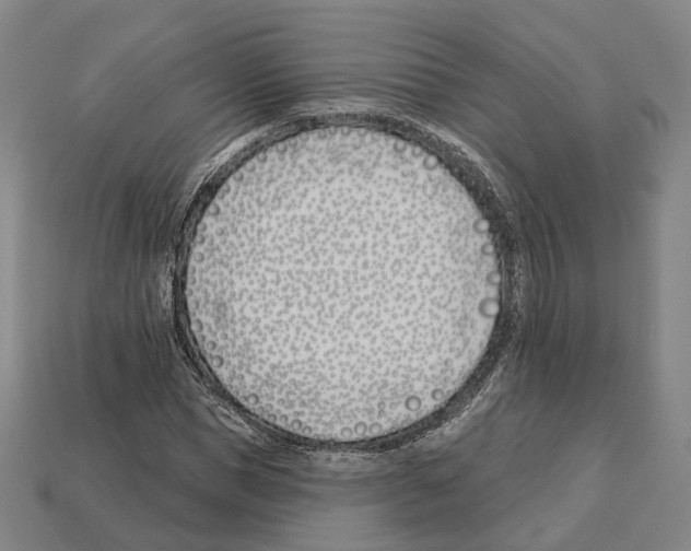 X0000112540921200909281056