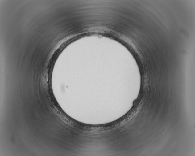 X0000112540923200909281056