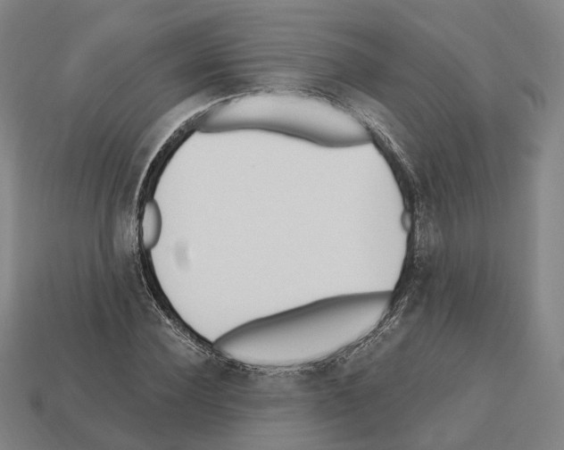X0000112540924200909281056