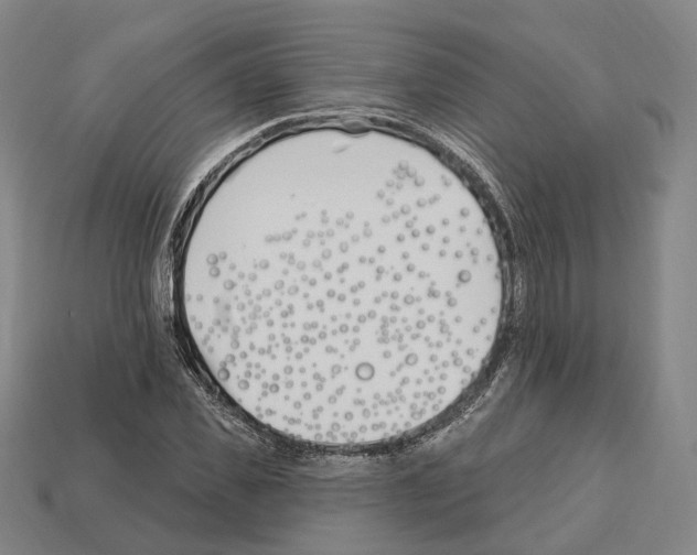 X0000112540925200909281056