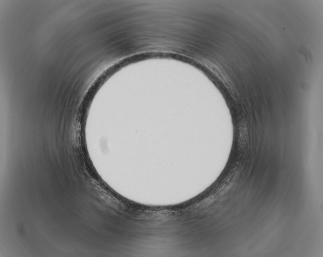 X0000112540926200909281056