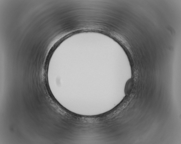 X0000112540928200909281056