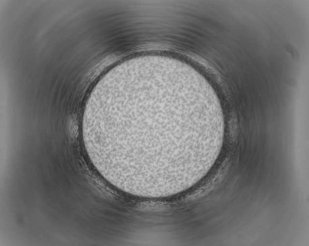 X0000112540929200909281056