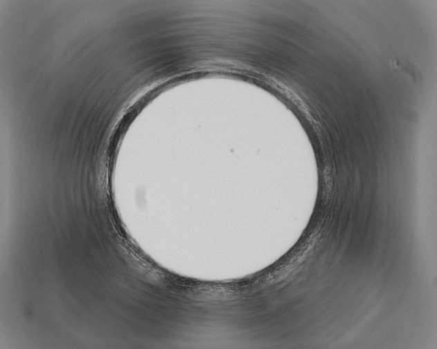 X0000112540931200909281056