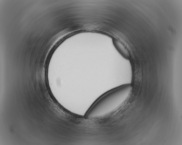 X0000112540932200909281056