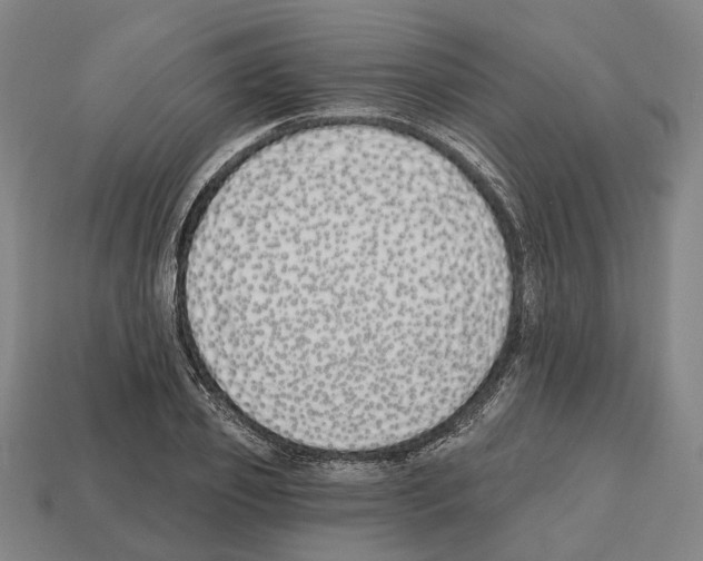 X0000112540933200909281056