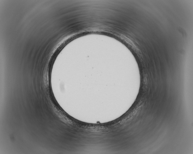 X0000112540934200909281056