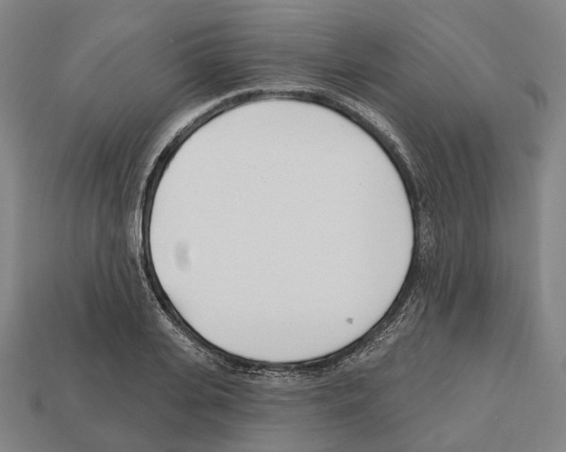 X0000112540935200909281056