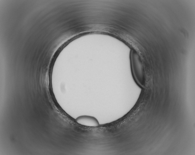 X0000112540936200909281056