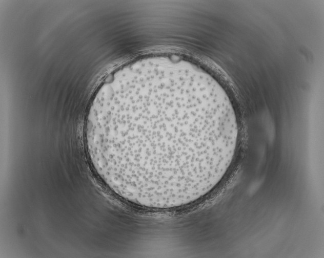 X0000112540937200909281056