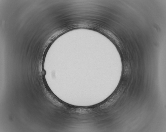 X0000112540938200909281056