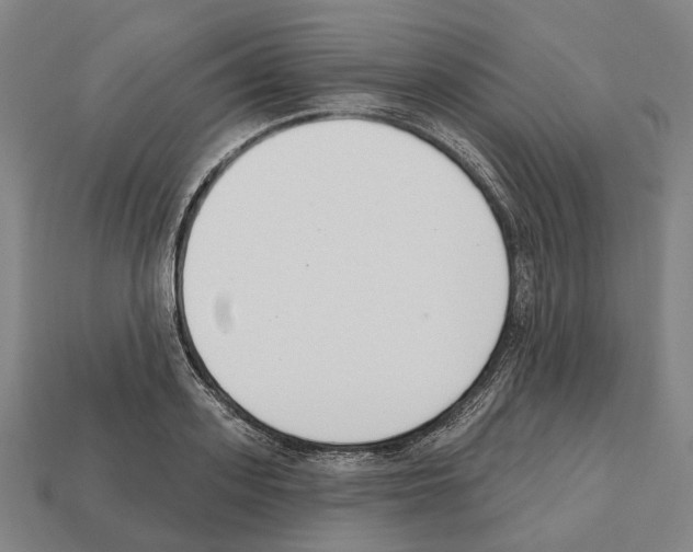 X0000112540939200909281056