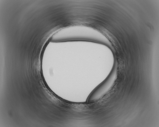 X0000112540940200909281056