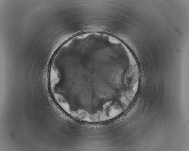 X0000112540941200909281056