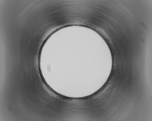 X0000112540942200909281056