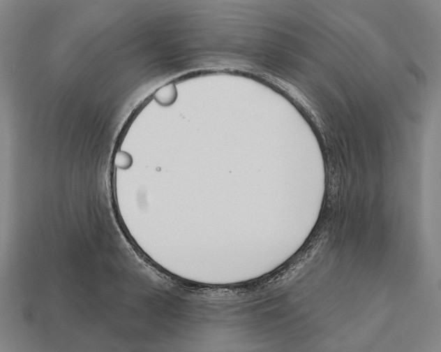 X0000112540943200909281056