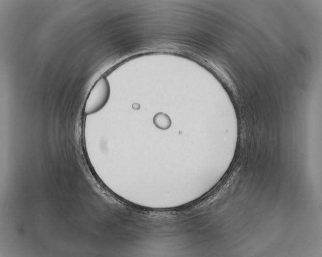 X0000112540944200909281056
