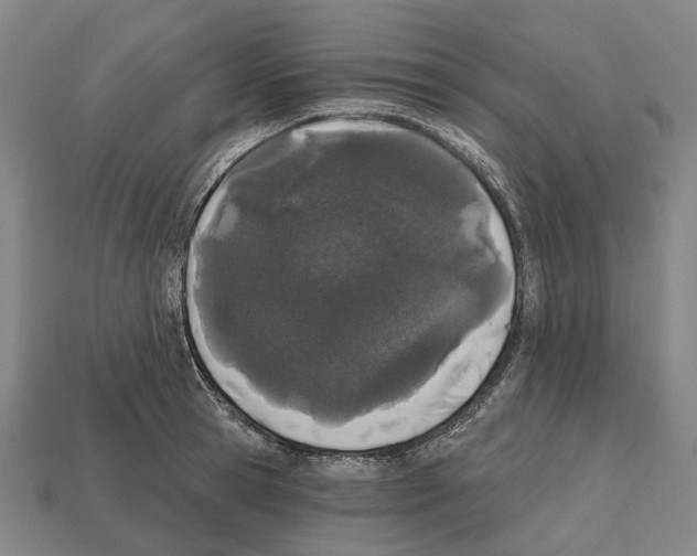 X0000112540945200909281056