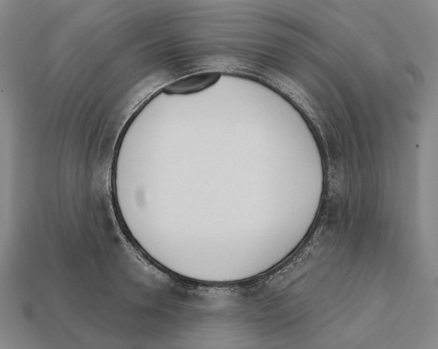 X0000112540946200909281056