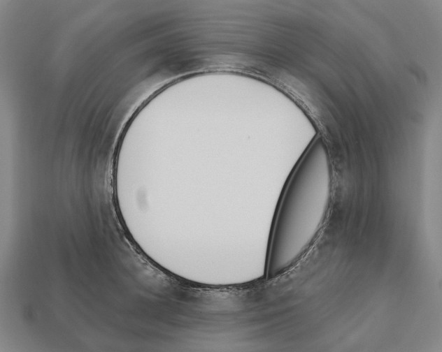 X0000112540948200909281056