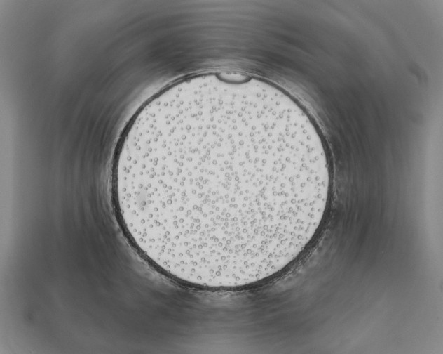 X0000112540949200909281056
