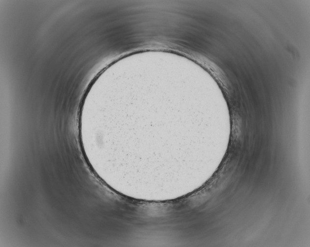 X0000112540950200909281056